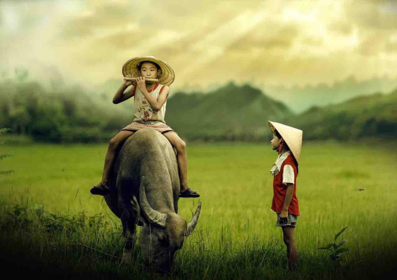 Hang Mua Happiness Homestay Ninh Binh Luaran gambar