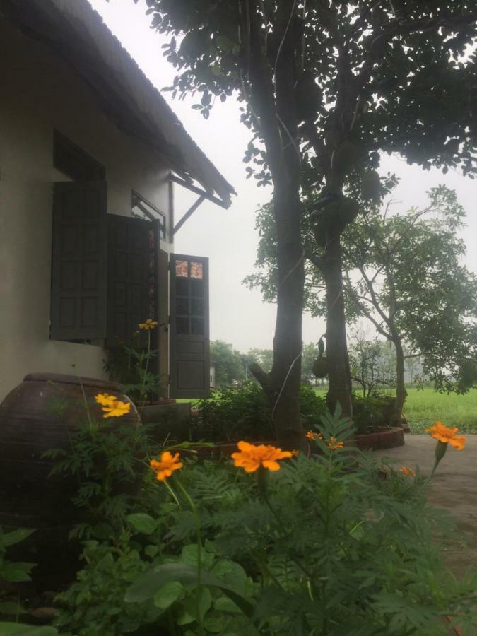 Hang Mua Happiness Homestay Ninh Binh Luaran gambar
